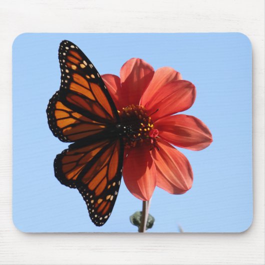 Monarchvlinder op een Dahlia Muismat (Voorkant)