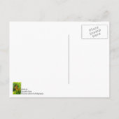 Monarchvlinder op Lantana bedankkaart Briefkaart (Achterkant)