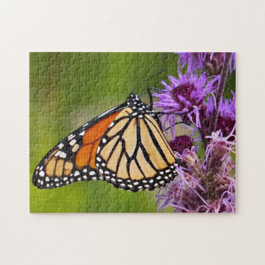 Monarchvlinder op Liatris Legpuzzel (Horizontaal)