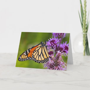 Monarchvlinder op Liatris Notitiekaartje