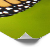 Monarchvlinder op Liatris Poster (Hoek)