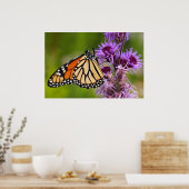 Monarchvlinder op Liatris Poster (Keuken)