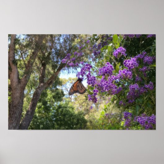 Monarchvlinder op Paarse Bloemen Poster (Voorkant)