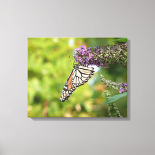 Monarchvlinder op paarse vlinderstruik canvas afdruk
