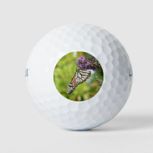 Monarchvlinder op paarse vlinderstruik golfballen