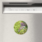 Monarchvlinder op paarse vlinderstruik magneet (Insitu (Vaatwasser))