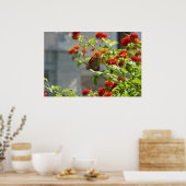 Monarchvlinder op rode vlinderstruik poster (Keuken)