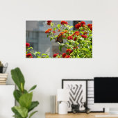 Monarchvlinder op rode vlinderstruik poster (Thuiskantoor)