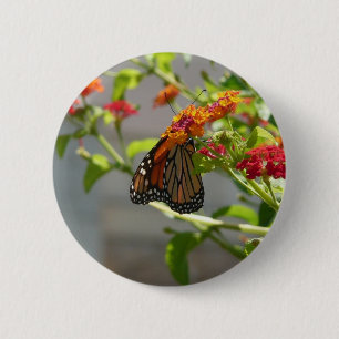 Monarchvlinder op rode vlinderstruik ronde button 5,7 cm