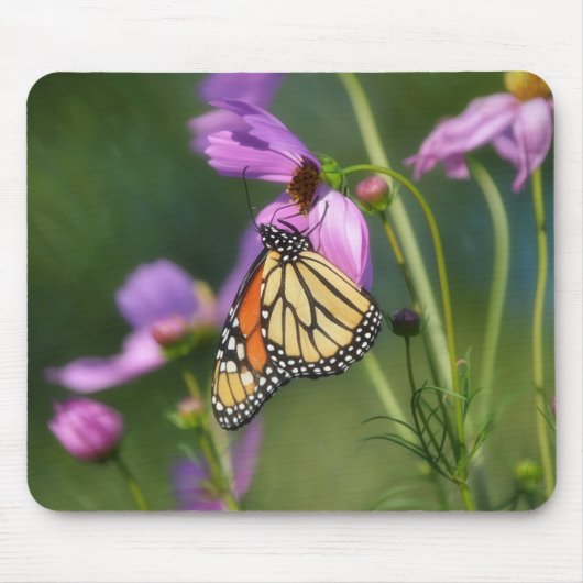 Monarchvlinder op roze bloemen muismat (Voorkant)