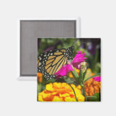 Monarchvlinder op roze goudsbloem-magneet magneet (Voorkant / Achterkant)