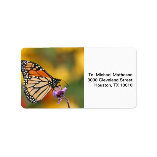 Monarchvlinder op zoek naar stuifmeel etiket (Voorkant)