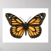 Monarchvlinder Poster (Voorkant)