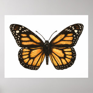 Monarchvlinder Poster
