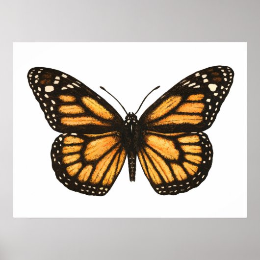 Monarchvlinder Poster (Voorkant)