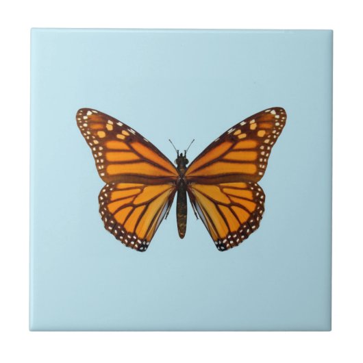 Monarchvlinder Tegeltje (Voorkant)