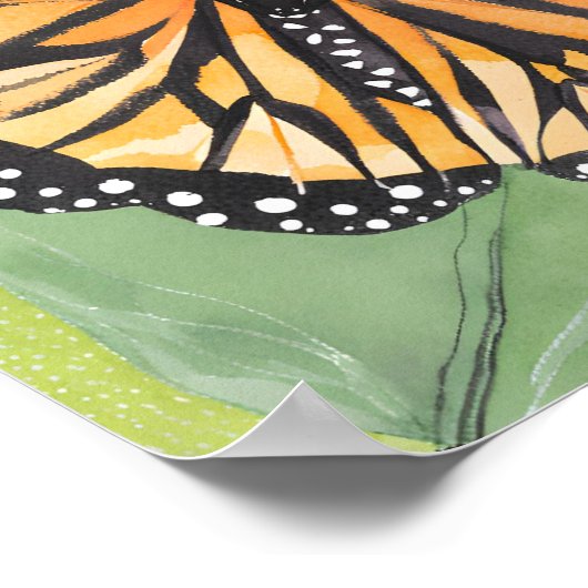 monarchvlinder | Waterverf schilderen Poster (Hoek)