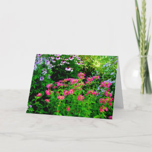 Monarda Bedankkaart