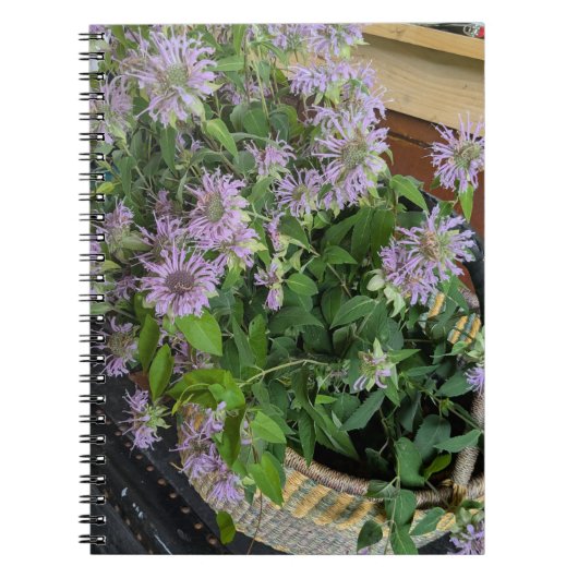 Monarda Notitieboek (Voorkant)