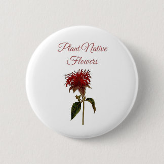 Monarda Plant Inheemse Bloemen Knop Ronde Button 5,7 Cm