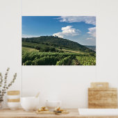 Monastary and Vineyard Poster (Keuken)