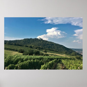 Monastary and Vineyard Poster