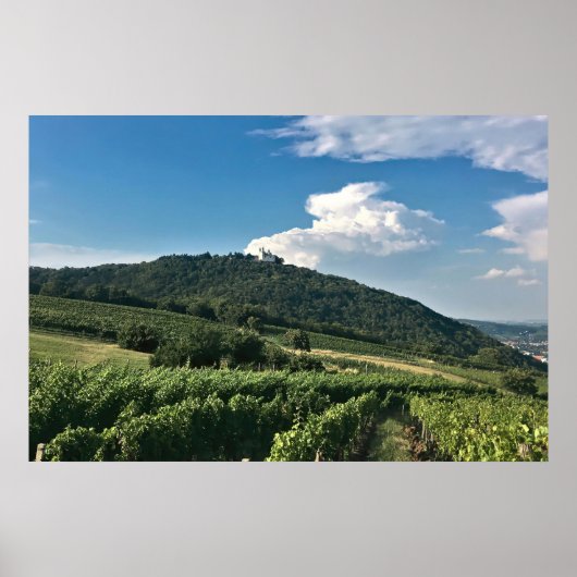 Monastary and Vineyard Poster (Voorkant)
