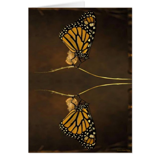 MonboogKaart (Voorkant)