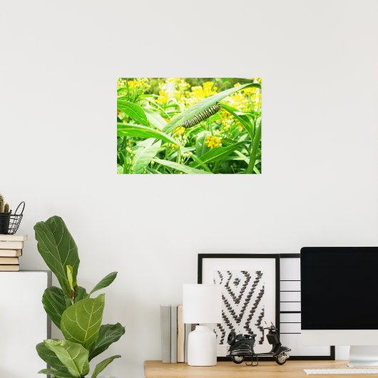 Monboogkeuken- en klauwzeervoeding op molenroos poster (Thuiskantoor)