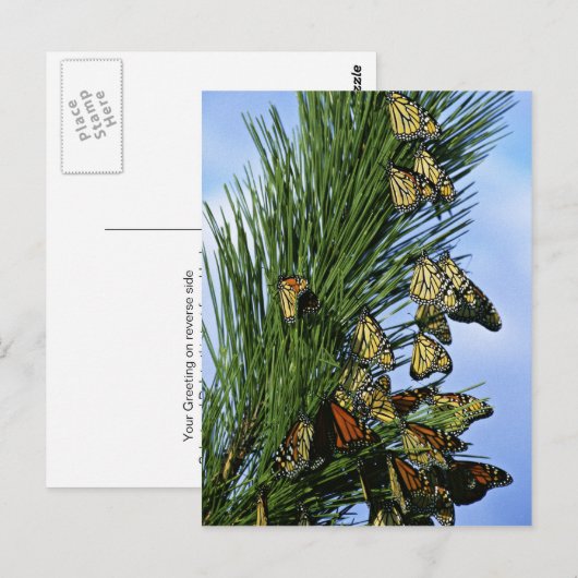 Monboogmigratie Briefkaart (Voorkant / Achterkant)