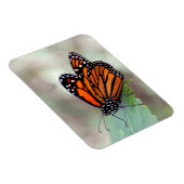 Monboogrust Magneet (Rechterzijde)