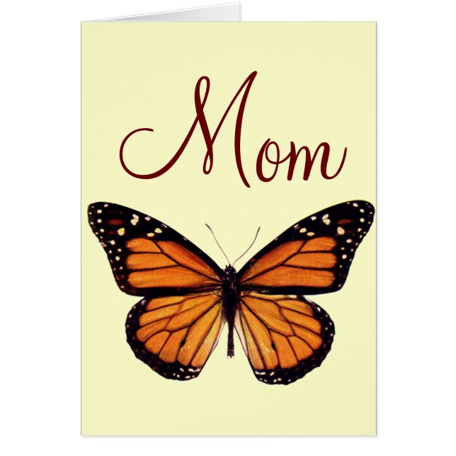  Monboogvlinder (Voorkant)