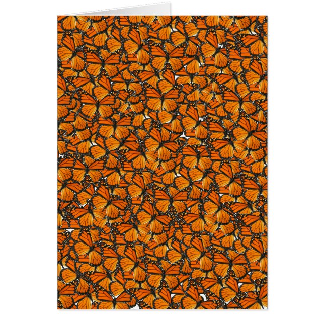 Monboogvlinder (Voorkant)