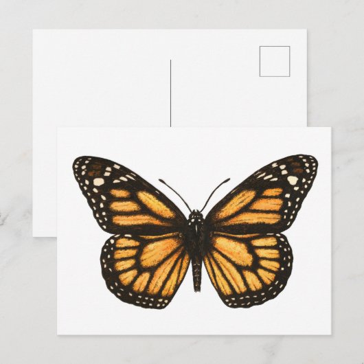 Monboogvlinder Briefkaart (Voorkant / Achterkant)