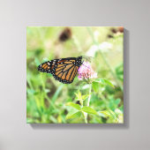 Monboogvlinder Canvas Afdruk (Voorkant)