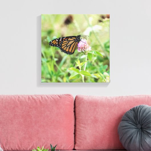 Monboogvlinder Canvas Afdruk (Insitu (Woonkamer))