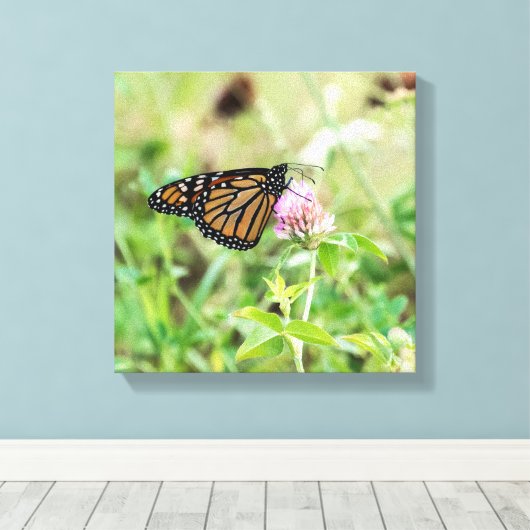 Monboogvlinder Canvas Afdruk (Insitu (Houten vloer))