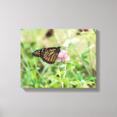 Monboogvlinder Canvas Afdruk (Voorkant)