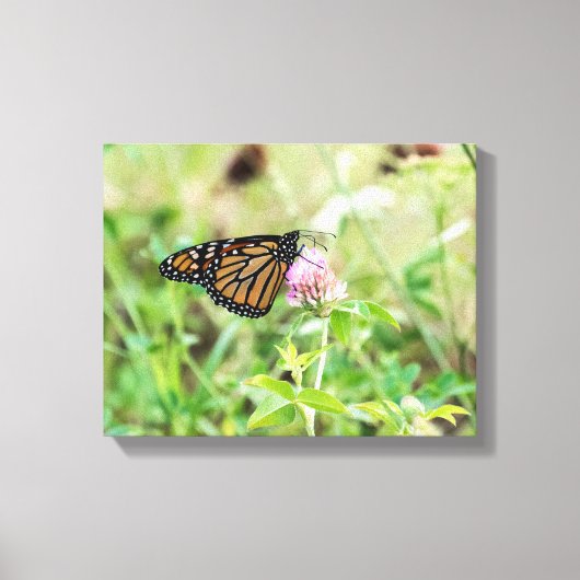Monboogvlinder Canvas Afdruk (Voorkant)