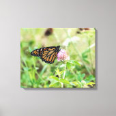 Monboogvlinder Canvas Afdruk (Voorkant)