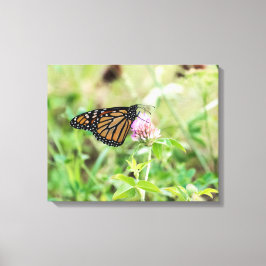 Monboogvlinder Canvas Afdruk