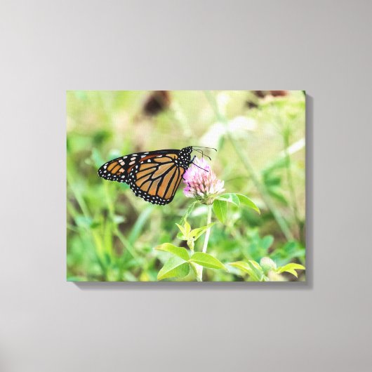Monboogvlinder Canvas Afdruk (Voorkant)