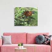 Monboogvlinder Canvas Afdruk (Insitu (Woonkamer))