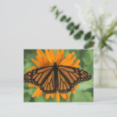 Monboogvlinder (Danaus plexippus) op pot Briefkaart (Staand voorkant)
