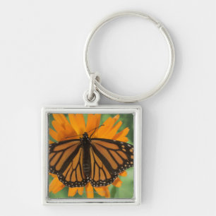 Monboogvlinder (Danaus plexippus) op pot Sleutelhanger