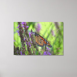 Monboogvlinder dicht bij paarse bloemen canvas afdruk