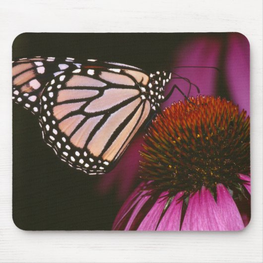 Monboogvlinder en Paarse ventilator Muismat (Voorkant)