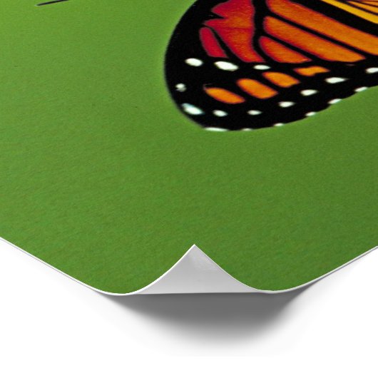 Monboogvlinder en ventilator op groen vierkant poster (Hoek)