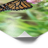 Monboogvlinder Foto Afdruk (Hoek)