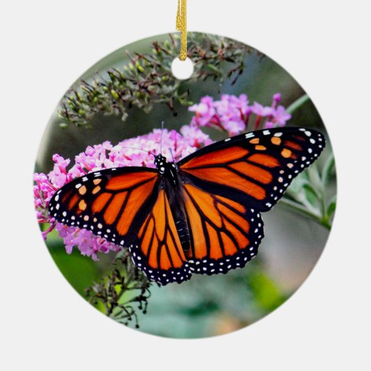 Monboogvlinder Foto Keramisch Ornament (Achterkant)